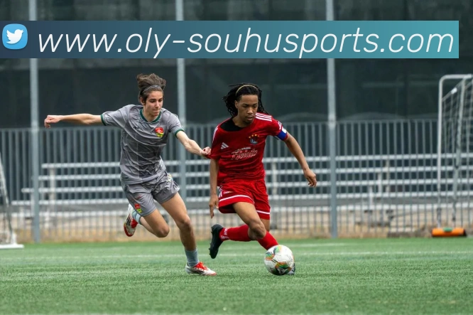 搜狐体育平台生态图